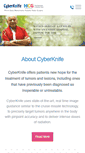 Mobile Screenshot of cyberknifeindia.com